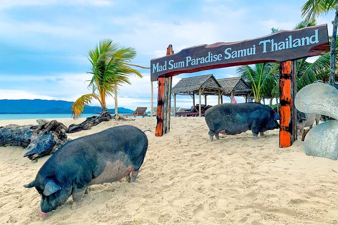 Koh Madsum (Pig Island) + Southern Islands